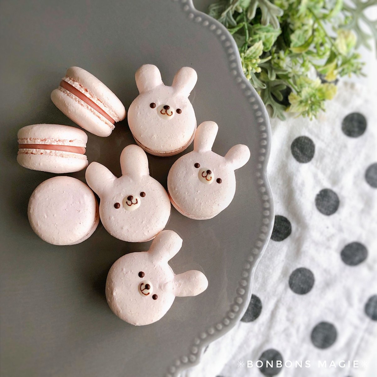 アニマルマカロンBOX【発送】 | Bonbonsmagie's STORE