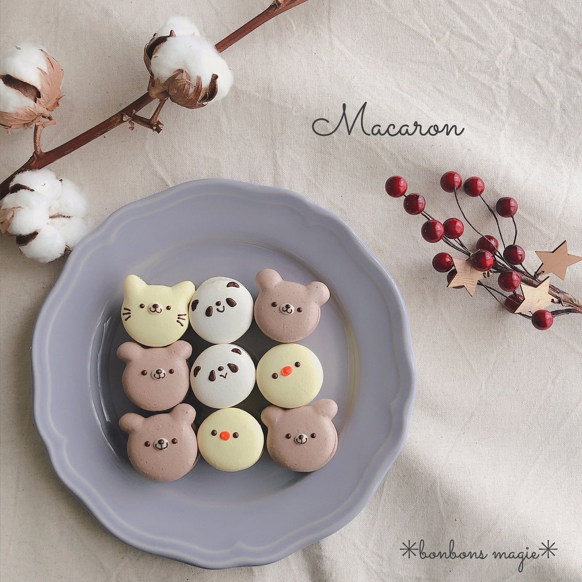 アニマルマカロンBOX【発送】 | Bonbonsmagie's STORE