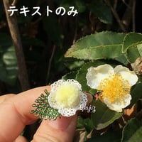 【PDF】イーネオヤ【お茶の花】レッスンテキスト
