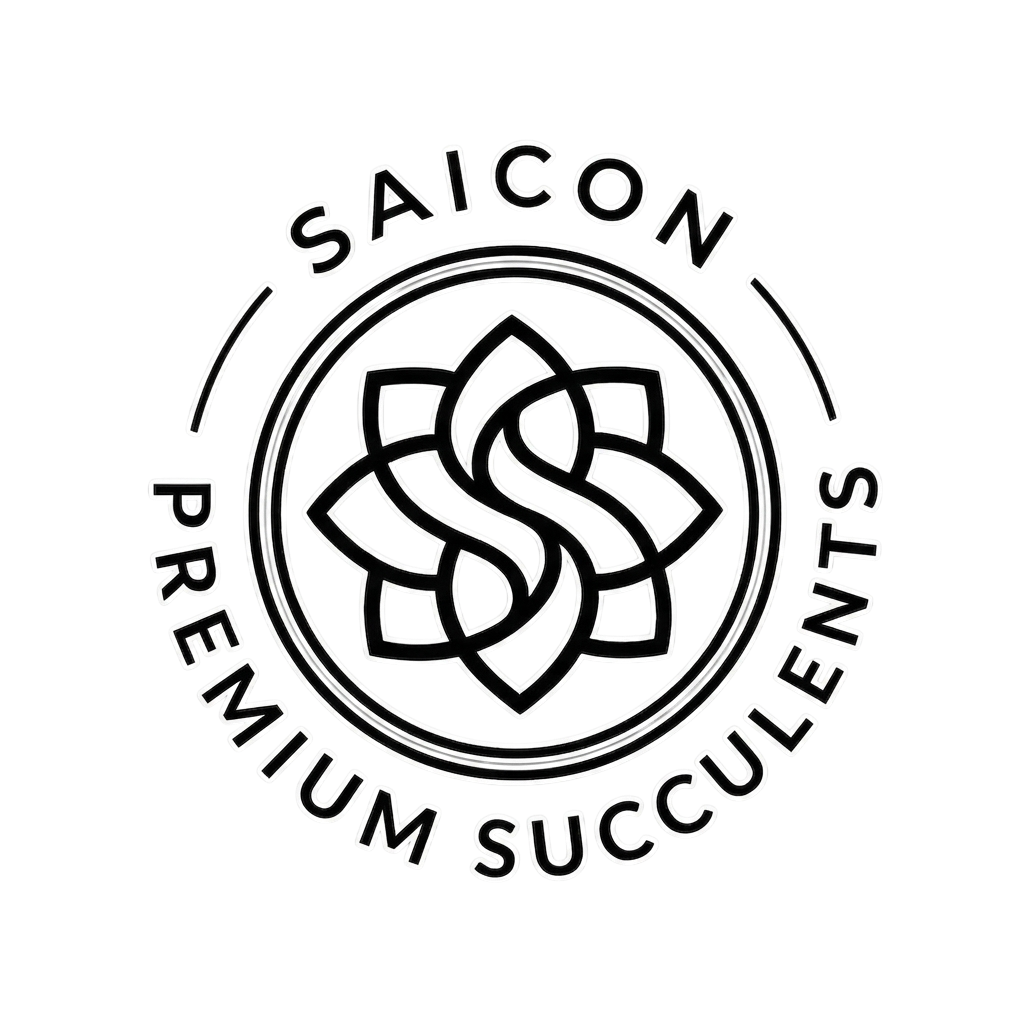 SAICON PREMIUM SUCCULENTS STORE