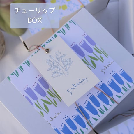 [数量限定]チューリップBOX