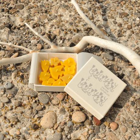 Salvia Shop　元染　蓋付き壺 TONKACHI STORE on X