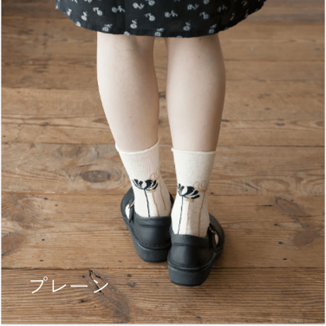 ふんわりくつした / コスモス