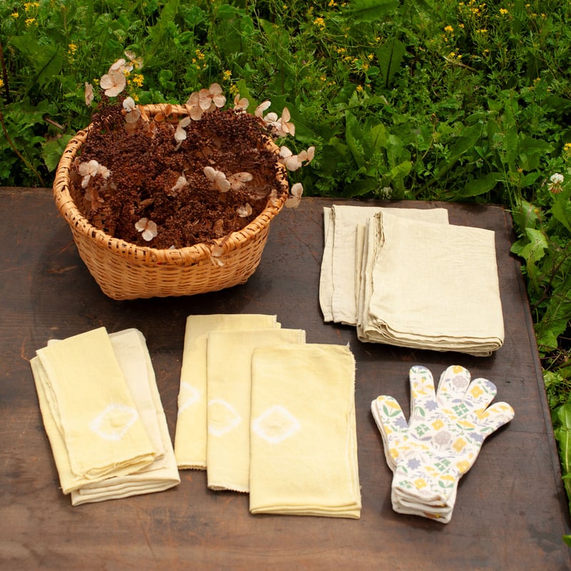 夏の東川だより] たんぽぽ染めのキッチンクロス | salvia