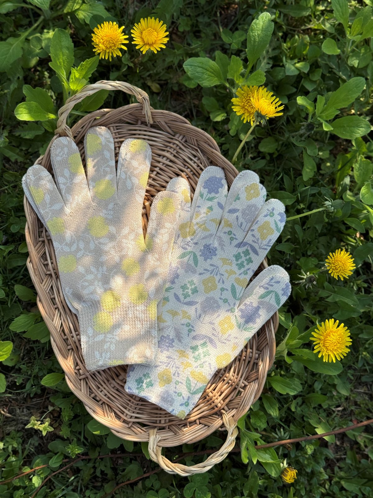 夏の東川だより] ガーデングローブ | salvia