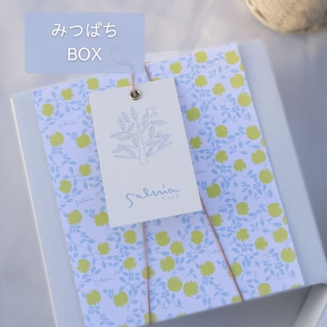 [数量限定]みつばち BOX
