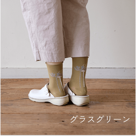 ふんわりくつした / コスモス