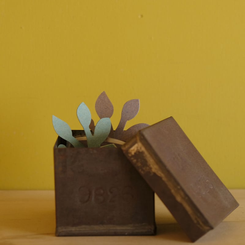 花さくメッセージカード / ちょう / Sサイズ | salvia