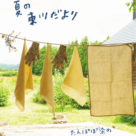 [夏の東川だより] たんぽぽ染めのキッチンクロス