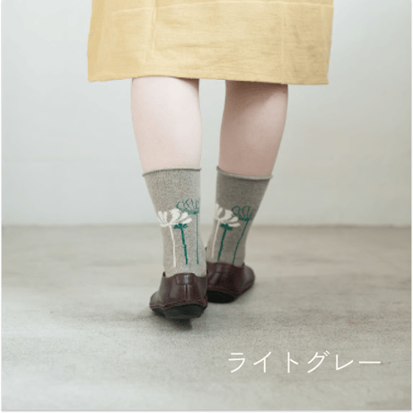 ふんわりくつした / コスモス