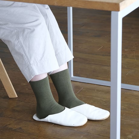 まいにちくつした / 20日　苔玉