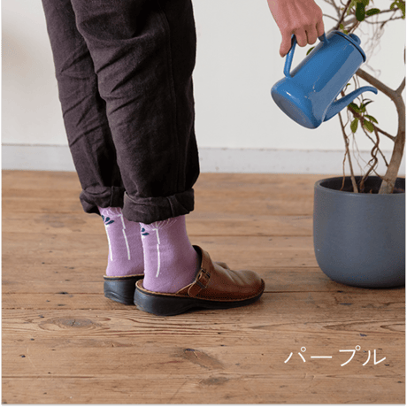 ふんわりくつした / コスモス