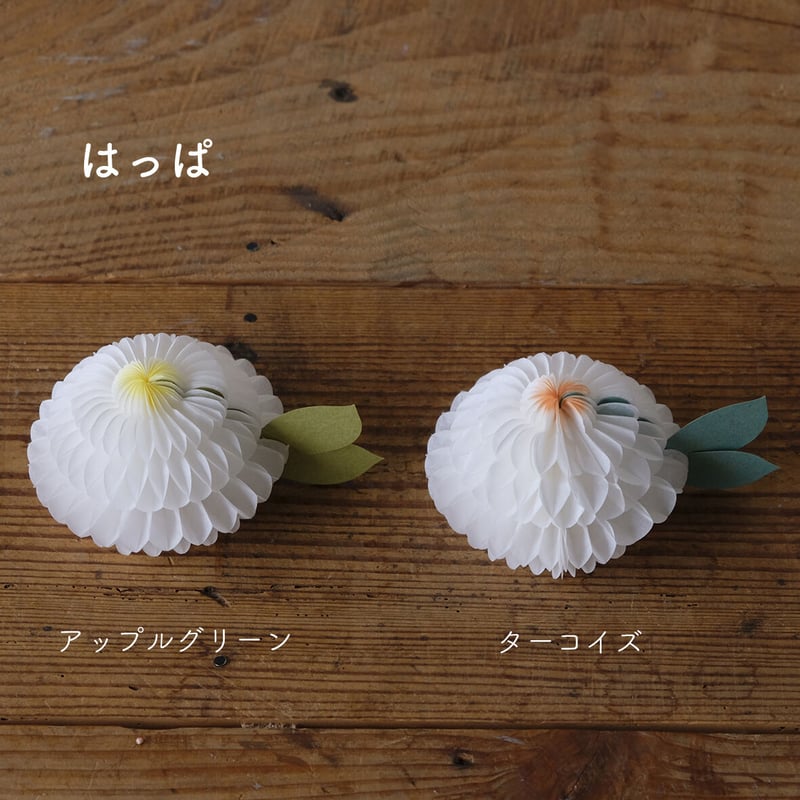 花さくメッセージカード / はっぱ / Lサイズ | salvia