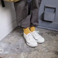 まいにちくつした /  15日　はちみつ