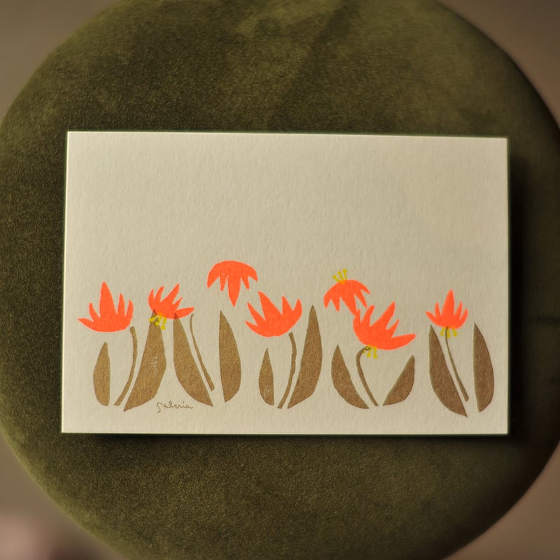 リソグラフ印刷のポストカード4枚セット / マッチと北の草花