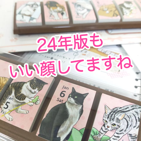 2024年himekuri（ねこ）