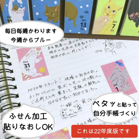 2024年himekuri（ねこ）