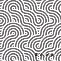 【Pale Ale】Undulation 6本セット