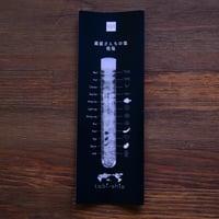 tabishio stick 蔵盛さんちの塩　粗塩
