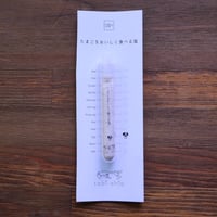 tabishio stick たまごをおいしく食べる塩