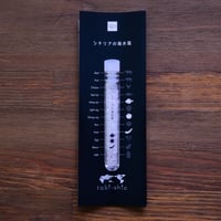 tabishio stick シチリアの海水塩