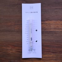tabishio stick マドゥラ島の海水塩