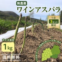 【1日3セット限定】上枝ヴィンヤード　通販「無農薬 ワインアスパラ 1kg（サイズ混合：30~40本前後）」《送料無料》