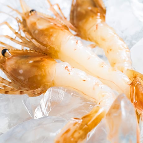 【濃厚な甘み】「船上氷結ボタンエビ！オス&メス食べ比べ1キロ（約17〜18尾）セット」《送料無料》（※沖縄、離島除く）