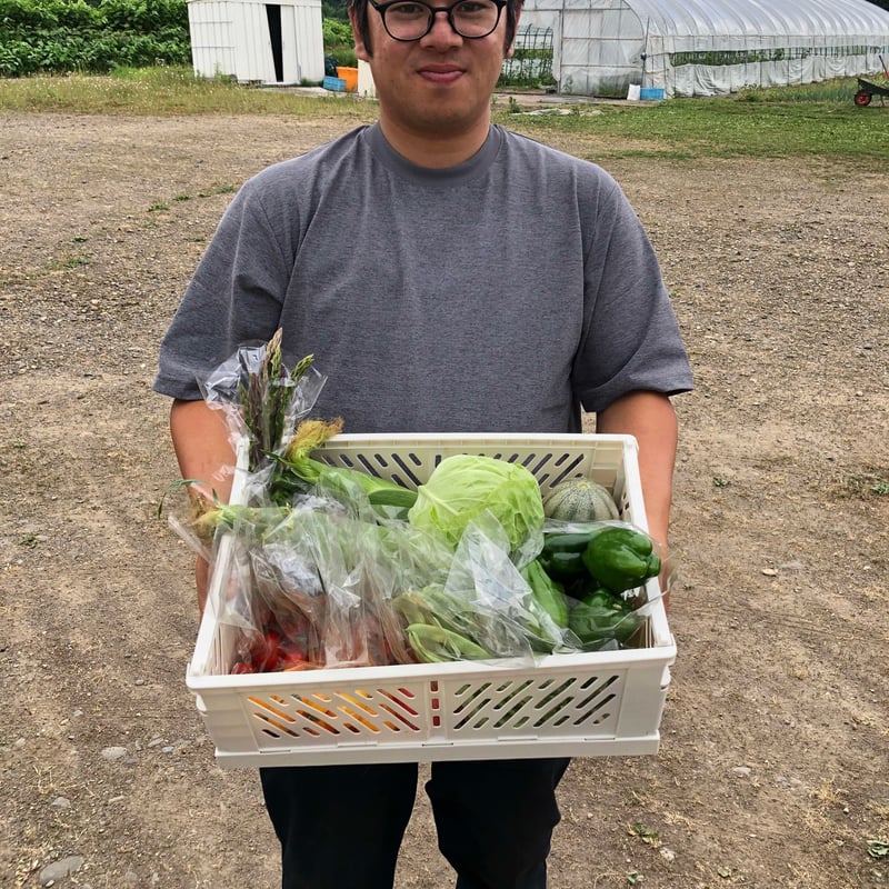 数量限定】上枝ヴィンヤード通販「季節の野菜お任せセット」《送料無料