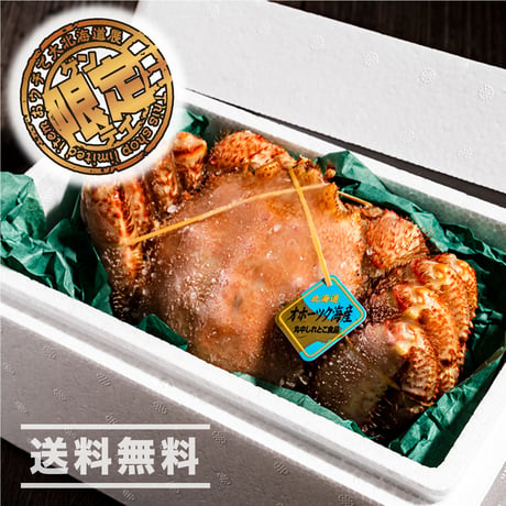 【ご贈答用にも】「特大！毛蟹（1杯）」《送料無料》（※沖縄、離島除く）