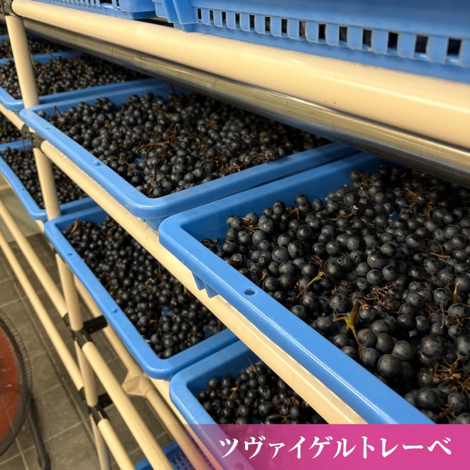68b7f1561685c935a7da5e30