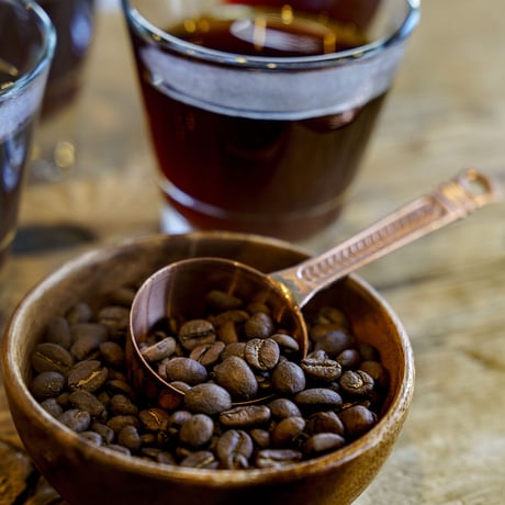 【限定！】宮の森アルケミストコーヒー　通販「１２銘柄スペシャリティコーヒー飲み比べセット」《送料無料》