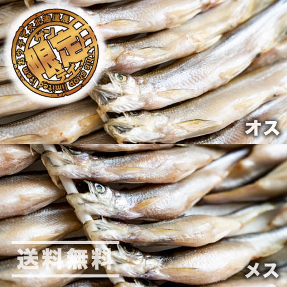 5f6c55a03ae0f475363bef90