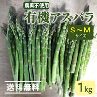 《予約販売》【数量限定】上枝ヴィンヤード　通販「無農薬！有機アスパラ 1kgセット（S〜Mサイズが60本程度）」《送料無料》