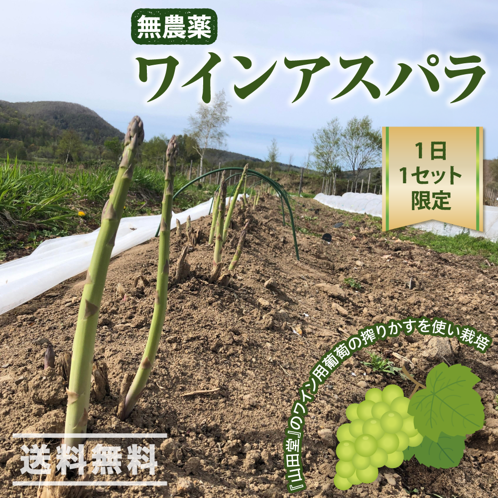 アスパラさん専用 1日1セット限定】上枝ヴィンヤード 通販「無農薬 ワインアスパラ（S