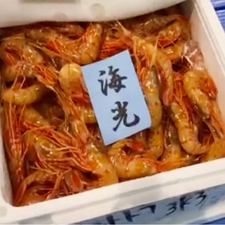 【濃厚な甘み】「船上氷結ボタンエビ！オス&メス食べ比べ1キロ（約17〜18尾）セット」《送料無料》（※沖縄、離島除く）