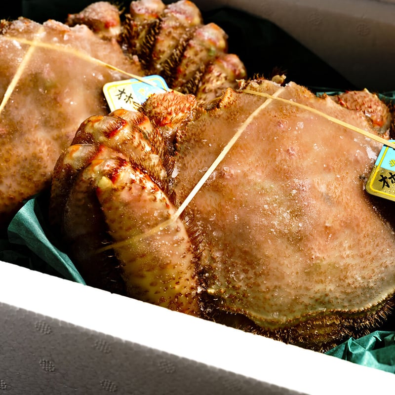 ご贈答用にも】「特大！毛蟹（2杯）」《送料無料》（※沖縄、離島除く