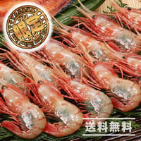 【濃厚な甘み】「船上氷結ボタンエビ！オス&メス食べ比べ1キロ（約17〜18尾）セット」《送料無料》（※沖縄、離島除く）