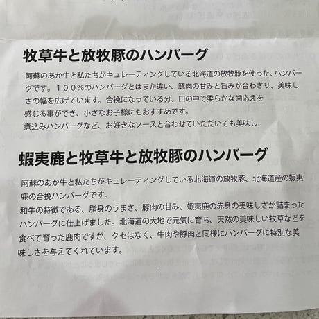 【食べ応え抜群！】GOOD GOOD MEAT 通販 「ハンバーグ2種類食べ比べセット」