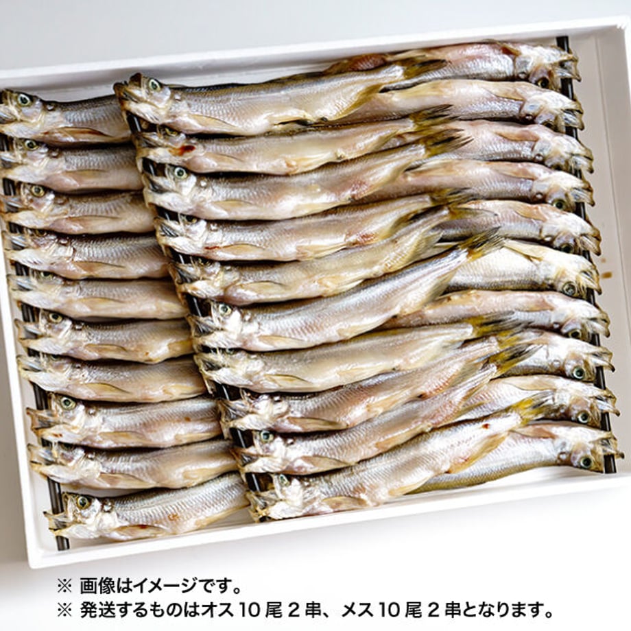 5f6c55a03ae0f475363bef90