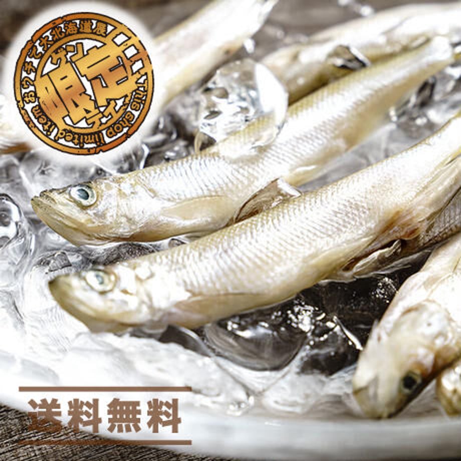 5f6c561a07e1630629c9b2f1