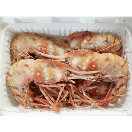 【濃厚な甘み】「船上氷結ボタンエビ！オス&メス食べ比べ1キロ（約17〜18尾）セット」《送料無料》（※沖縄、離島除く）