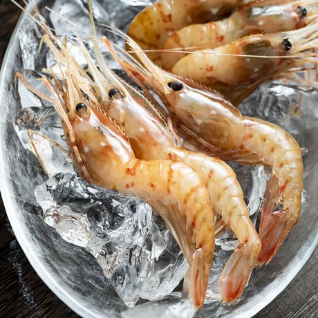 【濃厚な甘み】「船上氷結ボタンエビ！オス&メス食べ比べ1キロ（約17〜18尾）セット」《送料無料》（※沖縄、離島除く）