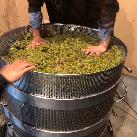 【1日3セット限定】上枝ヴィンヤード　通販「無農薬 ワインアスパラ 1kg（サイズ混合：30~40本前後）」《送料無料》