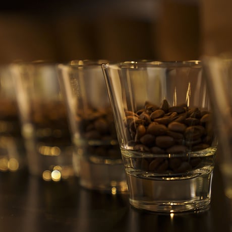 【正統派！】宮の森アルケミストコーヒー　通販「3銘柄スペシャリティコーヒー飲み比べセット（深煎り〜中煎り）」《送料無料》