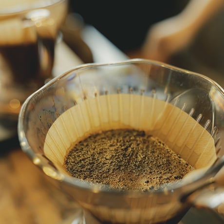 【限定！】宮の森アルケミストコーヒー　通販「１２銘柄スペシャリティコーヒー飲み比べセット」《送料無料》