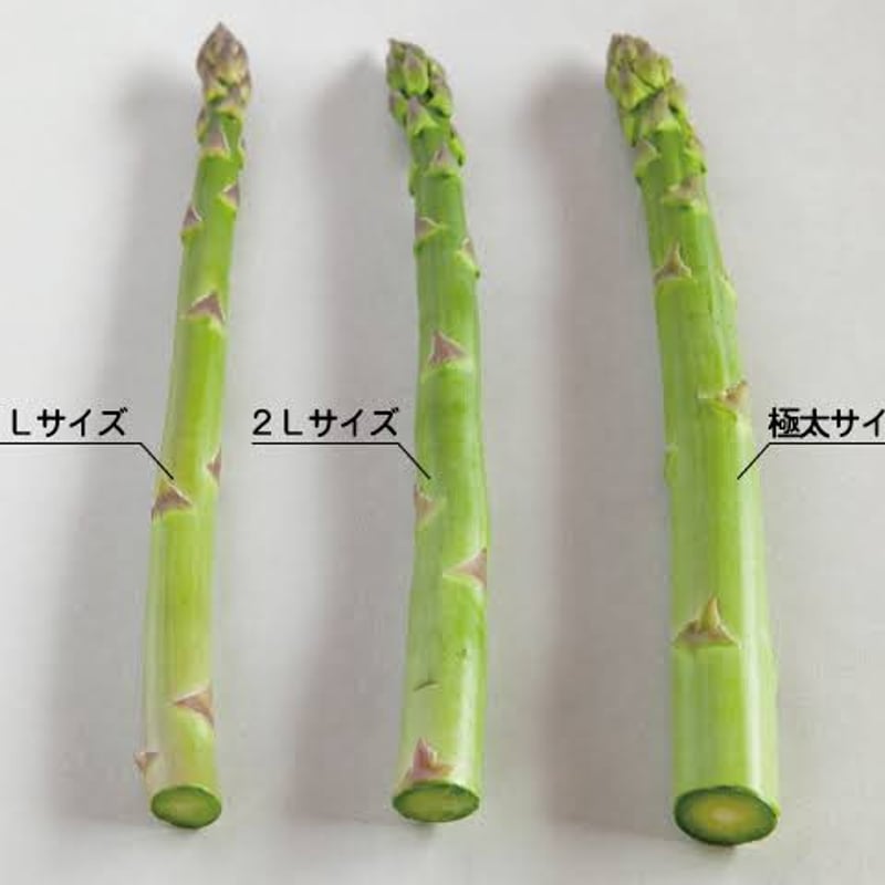 予約販売》【数量限定】上枝ヴィンヤード 通販「無農薬！有機アスパラ
