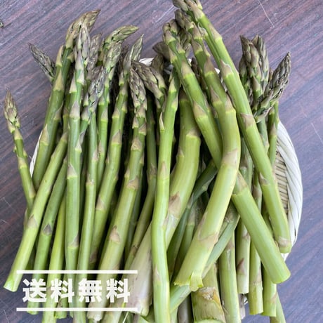 《予約販売》【数量限定】《訳あり品 / 不揃い/細い》上枝ヴィンヤード　通販「無農薬！有機アスパラ 1kgセット」《送料無料》