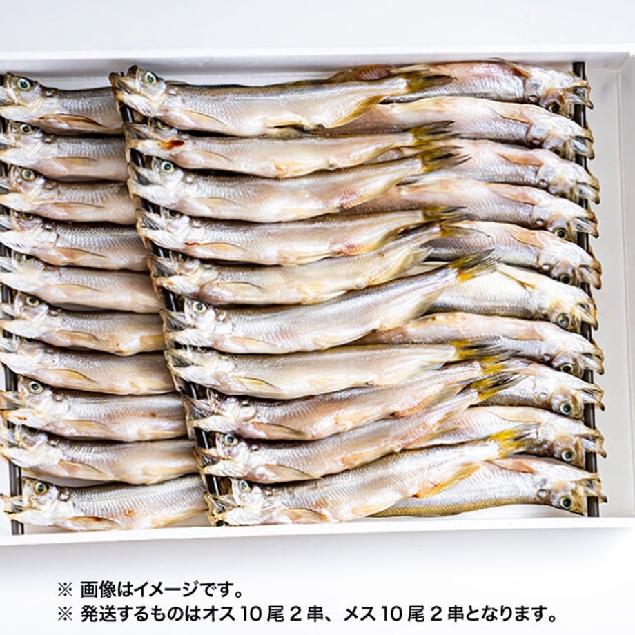5f6c55a03ae0f475363bef90