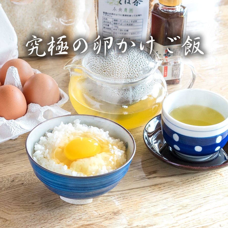 5ecc496534ef010222a53f6e
